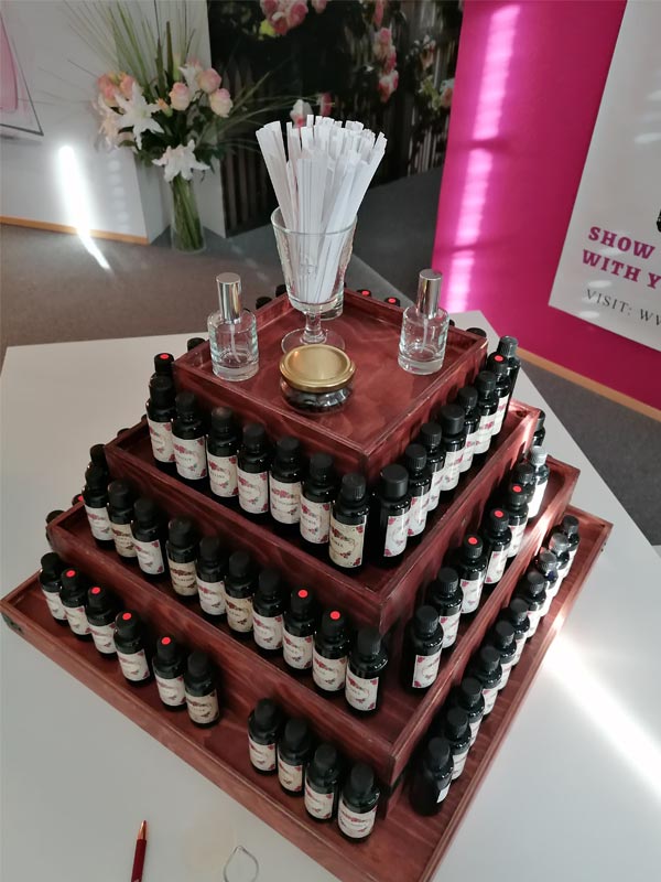 Kleine Orgel &bdquo;Tester&ldquo; im Openlab